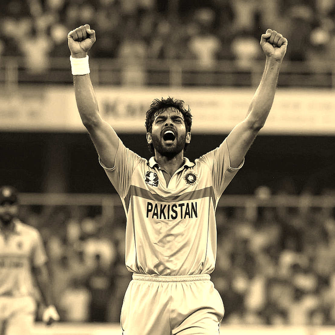 N/A: The Cricket Report That Carried Not a Single Fact